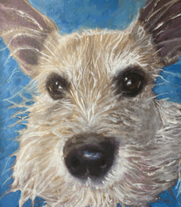 Portrait of a white Terrier, by artist Maryanne Chisholm